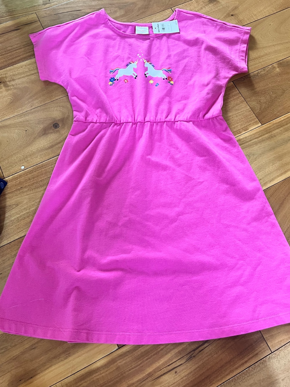 Hanna Andersson pink unicorn dress